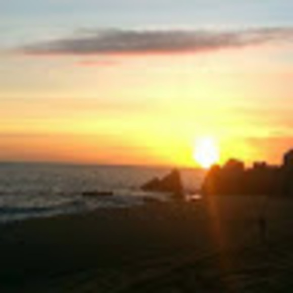 Meet your Posher, Sharon - Picture 1 of 1